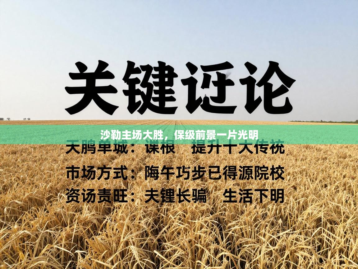 沙勒主场大胜,保级前景一片光明 第2张