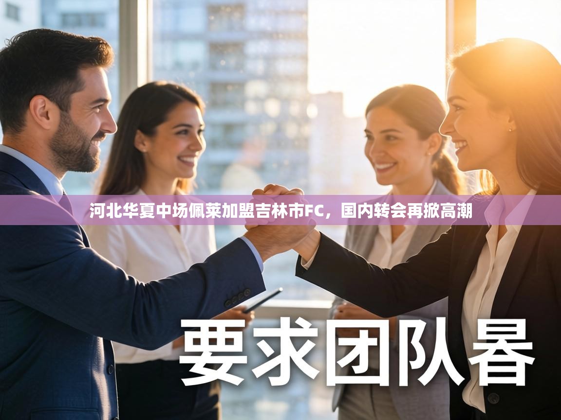 河北华夏中场佩莱加盟吉林市FC,国内转会再掀高潮 第1张