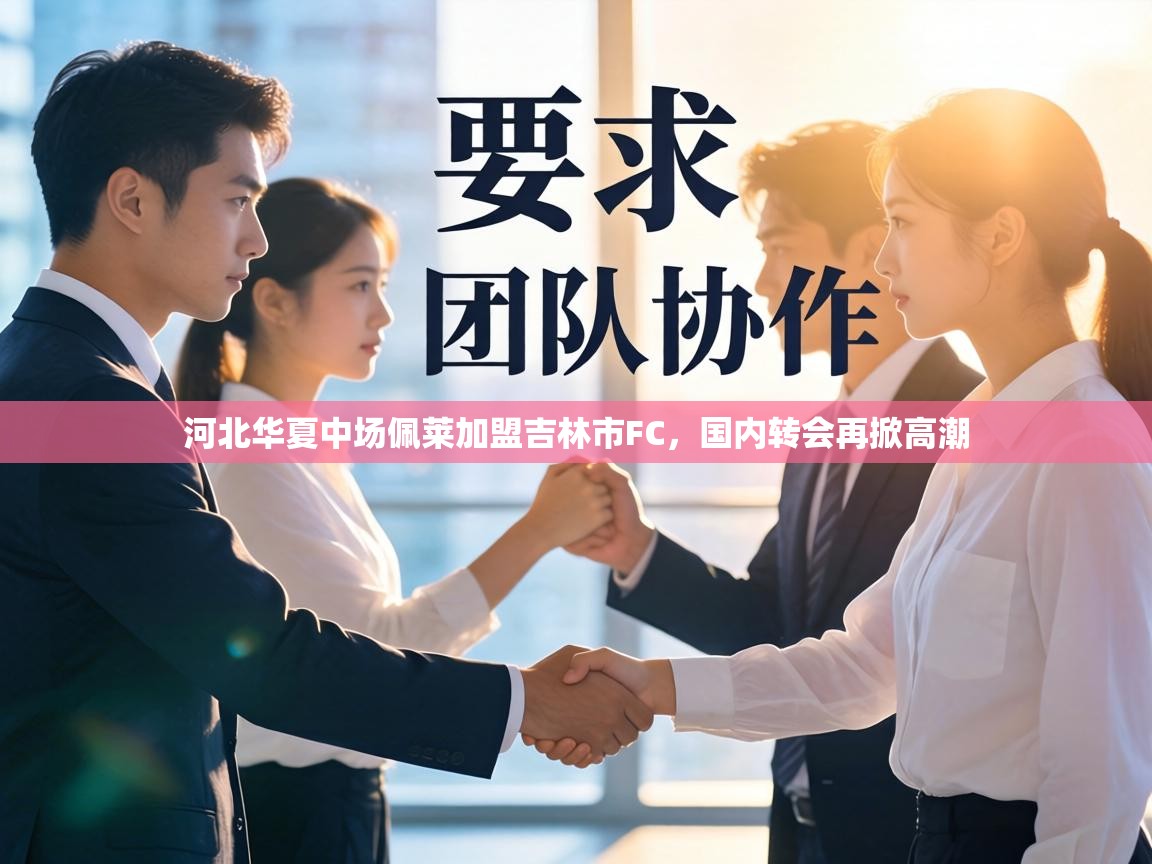 河北华夏中场佩莱加盟吉林市FC,国内转会再掀高潮 第2张